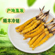 2025 frischer Cordyceps sinensis obere Periode ausgewählt frisch cordyceps Tibet frisch Cordyceps 0,7 Gramm pro Packung von 50 Teilen