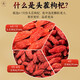 
Tongrentang Red Wolfberry Ningxia Zhongning New Product Original Large Grain Free Washing Wolfberry Tea Red Wolfberry No Sulphur Non-Sulphur No Sulphur Tonic In Season No Smoked [460g] 2 Cans