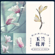 Tang Hou (Th) Echte Magnolia Brosche für Frauen Natural Hetian Jade Frischwasserperl Pin Mutter Elder Geburtstagsgeschenk [Magnolia] Upgrade -Modell + offizieller Zertifikat