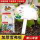 Xushansi Kindergarten Simulation Pot Brand Gardening Simulation Flower Pot Simulation Label Signage Succulent Conservation Brand DIY Handmade YHCD-28 10x16cm