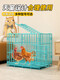 Yuhualuo Chicken Cage Household Small Large Extra Large Chicken Cage Automatic Manure Cleaning Duck Goose Poultry Folding Breeding Cage Chicken Coop Bold Pink (Package 1) 61*42*50cm Raise 1-2