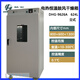 上海电热恒温鼓风干燥箱DHG-9030A9070A烘箱9140烤 DHG-9923A200