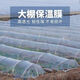 Jiayou agricultural transparent plastic film for growing vegetables and small shed film, agricultural special film, plastic cloth insulation mulch film to prevent cold, 4 wire small shed special film, 2 meters wide and 5 meters long