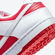 NIKE耐克Dunk Low Retro反转白红 男款 防滑耐磨 低帮轻便休闲板鞋 DD1391-600 43