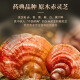 同仁堂北京同仁堂灵芝孢子粉中老年滋补端午礼盒送父母礼盒