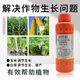 Guoguang Youlehong 8% amine fresh ester coloring increases root production, promotes cell division, preserves flowers and fruits, growth regulator 1000ml