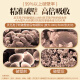 康象【有机蓝帽】破壁灵芝孢子粉增强免疫力林芝中老年人营养品送父母 500克【推荐】