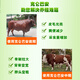 Kelunbaan cattle and sheep fattening and growth-promoting feed additives cattle feed meat growth premix to remove oil and small ingredients, factory direct delivery 7.5kg/barrel