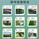 Moyi simulated lawn carpet, fake turf, green plastic enclosure, artificial grass bedding, kindergarten artificial floor mat, outdoor 20mm encrypted grass, high quality green bottom, 1 meter wide and 5 meters long