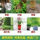 5 Jin Jin is equal to 0.5 kilograms of potassium dihydrogen phosphate foliar fertilizer genuine potassium dihydrogen phosphate official store agricultural fertilizer tree vegetable flower fertilizer 10 Jin Jin is equal to 0.5 kilograms in barrels