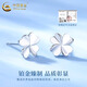 CHINA GOLD PT950 Platinum Four-leaf Clover Earrings 2025 New Earrings Valentine's Day Birthday Gift for Girlfriend and Wife Gift Platinum Lucky Four-leaf Clover Earrings for Girlfriend About 1.4g Zhongjin Gift Box