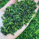 Anxi Tieguanyin neuer Tee Orchid -Duft Spezial Tee reich