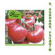Farmer's Big Pink Tomato Seeds Big Red Four Seasons Woolly Pink Persimmon Seeds Tomato Seedlings Balcony Garden Vegetable Seeds Big Tomato Seeds 666 + Song Fertilizer
