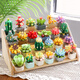 Fermi compatible LEGO children's assembly building blocks toys potted ornaments for boys and girls birthday gifts succulent-meat cone S2281