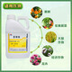 Chlormequat paclobutrazol special multi-effect strawberry farm store corn wheat pbo control agent growth regulator 5kg