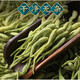 北京同仁堂原料金银花菊花茶中药材原料500g养生凉茶煮水 【3罐】金银花30g+胎菊50g+红枸杞150g