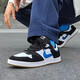 Nike Nike Männer und Frauenpolsterung SB Alleyoop Sneakers CJ0882-104 Weiß und Schwarz 41