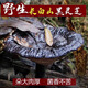 元族长白山正宗野生黑灵芝整枝正品一斤装纯天然孢子粉深山赤林芝泡酒 头道野生灵芝孢子粉一斤