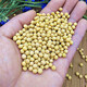 Sprouting kleiner goldener gelb 690 Sojabohnen 5 Jin [Jin entspricht 0,5 kg] Sprossen kleine Sojabohnen, um Natto -Perlen 250 g speziell 690 Sojabohnen 5 Jin zu machen [Jin entspricht 0,5 kg]