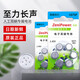 西嘉至力人工电子耳蜗助听器电池配件a675p适用AB奥地利科利耳诺尔康 至力人工耳蜗电池【1板6颗】