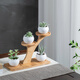 Housewife solid wood desktop multi-layer small flower rack succulent solid wood bay window balcony living room office flower pot rack storage green plants five round flower rack