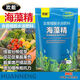 Huaneng seaweed essence powder contains humic acid water-soluble fertilizer for organic fruits, vegetables and flowers, general rooting and seedling fertilization