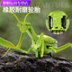 Shantoulin Village Пульт дистанционного управления Mantis Electric Toy Scrank Artifact Tockroach Boy движется к паукам