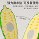 Miaobeile fruit chewyle children's toys girls playing house 3-6 years old vegetables simulated kitchen cooking girl birthday gift
