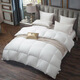 Pierre Cardin warm velvet 100% feather quilt 100% cotton white goose feather quilt thickened single winter quilt 1500g 150*200cm