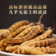 Baomingtang Cordyceps sinensis frisches Heu 1 Gramm volle Qualität ohne Gras ohne leeres Gras Geschenk Tonic für Selbstverwendung 1 g/Flasche