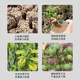 Soil loosening agent, loosening essence, no deep tillage, soil activator, universal fertilizer, imported raw materials, 100 times more effective, 10Jin Jin is equal to 0.5kg