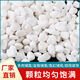 Small white stones, succulent paving stones, flowers, pebbles, rain flowers, stone fish tanks, landscaping, potted plants, courtyard paving, classic white stones 5A grade 5 Jin Jin equal to 0.5 kg / recommended 1-3 cm distinction