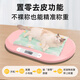 小白秤小白秤宠物专用体重秤大型狗狗猫咪称重器家用小动物宠物店精准 40斤中小型宠物升级款白色【基础款】