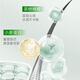 
FicceCode Tea Tree Shampoo 300ml Oil Control and Oil Removal Shampoo Long-lasting Soft Shampoo Imported in Australia