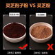 
Eryabei authentic Changbaishan Ganoderma lucidum spore powder head fine powder Ganoderma lucidum powder authentic spore oil enhances resistance Ganoderma lucidum spore powder [250g per bottle] Spoon