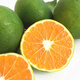 Yichang tangerine thin-skinned tangerine fresh fruit seasonal fruit for pregnant women 9Jin Jin is equal to 0.5 kg large fruit
