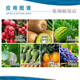 Guoguang Guopanshiteyou clofendiuron grape cucumber watermelon lychee fruit set expander plant growth regulator 100ml