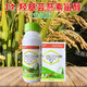 14-Hydroxybrassinosteroid relieves phytotoxicity, cold-proof and frost-resistant rice plant crop growth regulator 100 ml 14-Hydroxybrassinosteroid *1 bottle