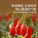 同仁堂品牌 北京同仁堂西洋参枸杞礼盒送长辈送父母母亲节礼品礼物