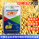 Wangyuan Xingzhonghuang 37/39/301 soybean soybean seeds, large seeds, high yield, disease resistance and lodging resistance, national approval base field, Zhonghuang 13 soybean seeds 2Jin Jin equal to 0.5kg