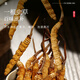 
Fudonghai Cordyceps sinensis 4g gift box - about 4 roots/g16 tubes High-altitude gift tonics for elders