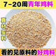 Laying hen feed full price feed chicken corn crumbs laying hen medium and large chicken household chicken food duck quail chicken feed 50Jin Jin is equal to 0.5 kg - egg production feed
