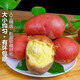 Hebei red-skinned large potatoes, fresh yellow-heart potatoes, freshly dug potatoes, ground eggs, potato noodles, hot pot wholesale, red-skinned large potatoes, 5Jin Jin is equal to 0.5kg, net weight, single fruit 150g+
