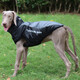 Super resistant dog clothes in winter large dog warm golden collie Doberman clothes 2025 windproof snowproof cotton coat reflective-glare blue 2XL size (bust 58 back length 47)