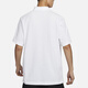 耐克（NIKE）男装 休闲 运动生活短袖POLO衫 FN3895-100 FN3895-100 L