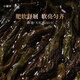 小罐茶年迹年份茶 特级乌龙茶武夷山大红袍茶2019茶叶礼盒480g 5年陈