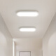 Grand View Garden (DGY) Corredor de luz del pasillo LED LED Light Light Modern Simple Long Living Lamps Study Room 3892-White 100cm-Wuji Elf 40W Full Spectrum