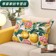 Rongtao 2023 new sofa pillow case rectangular core-free cushion canvas pillow long backrest living room backrest white daisy fine canvas 60X80 core-free