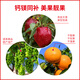 Jinzhengda calcium and magnesium water-soluble fertilizer with medium amount of elements for fruit trees and vegetables to prevent hollow cracked fruit deformity, fruit expansion and fruit strengthening fertilizer calcium and magnesium for fertilization 5L