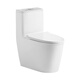Kejing Anti-freeze, Antibacterial and Anti-fouling Personalized Toilet 9926 is available offline